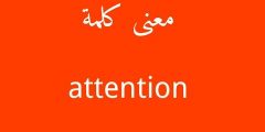 ما معنى attention whore بالعربي