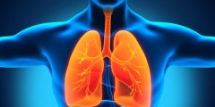 بحث حول وقاية الجهاز التنفسي