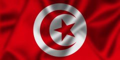 أسماء الأعضاء التناسلية باللهجة التونسية